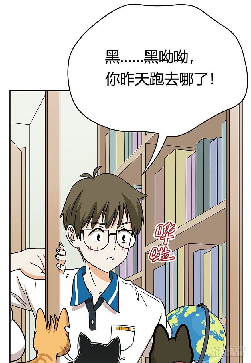 《回到过去变成猫外传》第61爪 “虐猫”照骗（上） 第19页