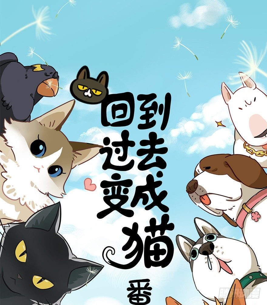 《回到过去变成猫外传》第61爪 “虐猫”照骗（上） 第1页
