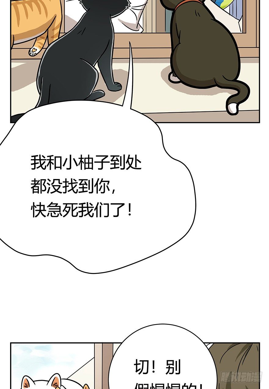 《回到过去变成猫外传》第61爪 “虐猫”照骗（上） 第20页