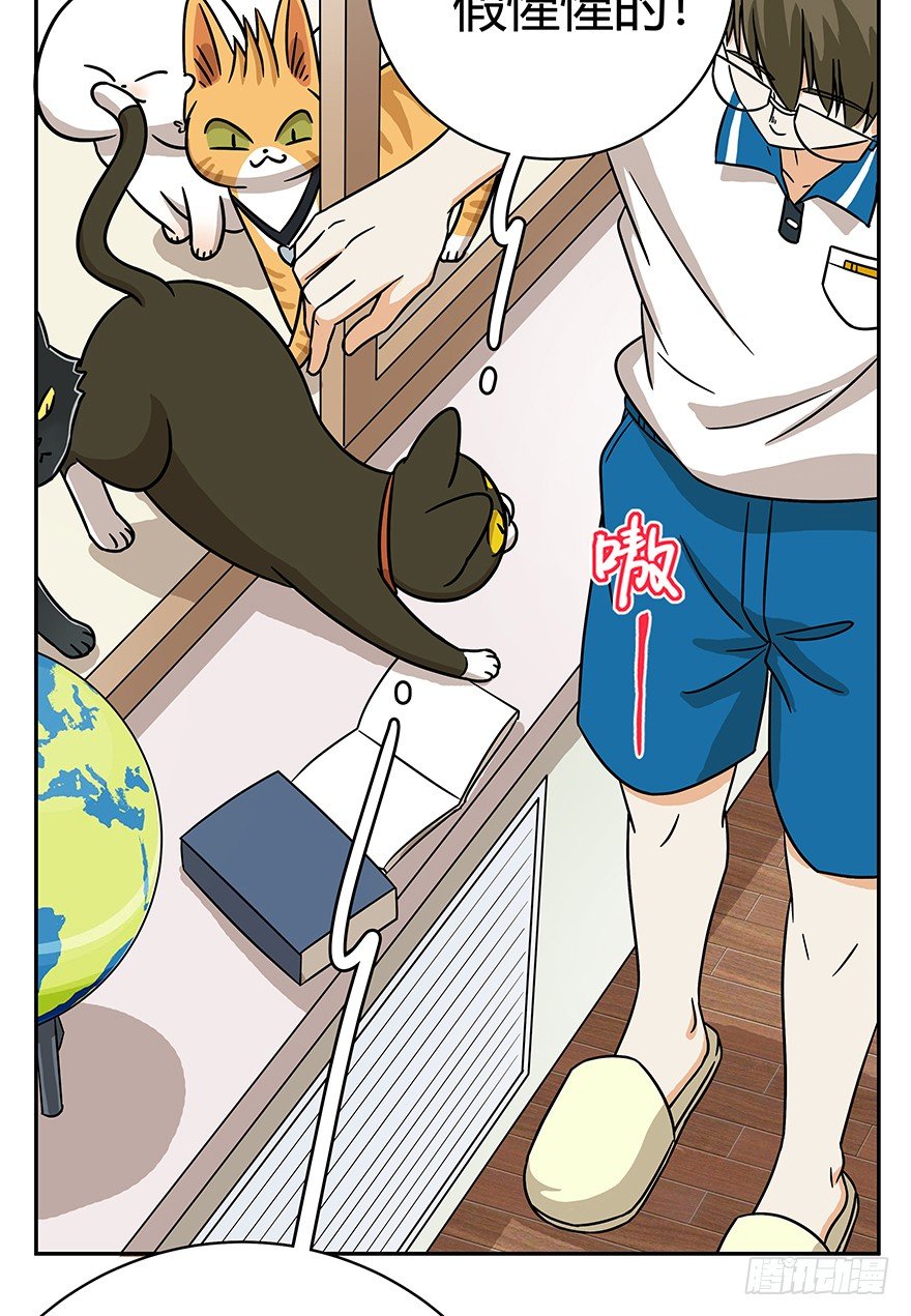《回到过去变成猫外传》第61爪 “虐猫”照骗（上） 第21页