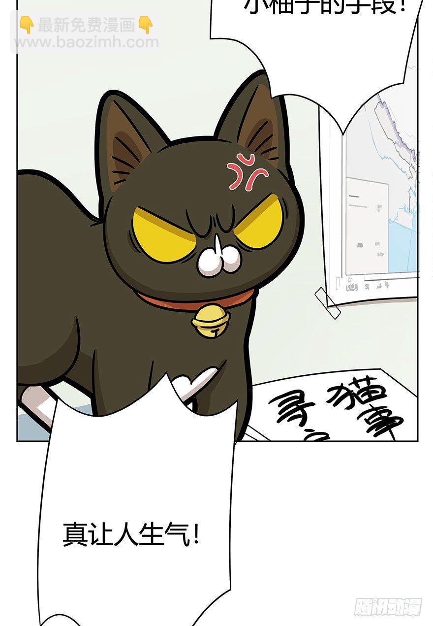 《回到过去变成猫外传》第61爪 “虐猫”照骗（上） 第24页