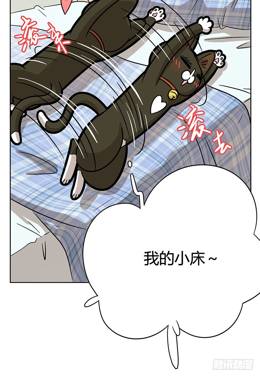 《回到过去变成猫外传》第61爪 “虐猫”照骗（上） 第26页