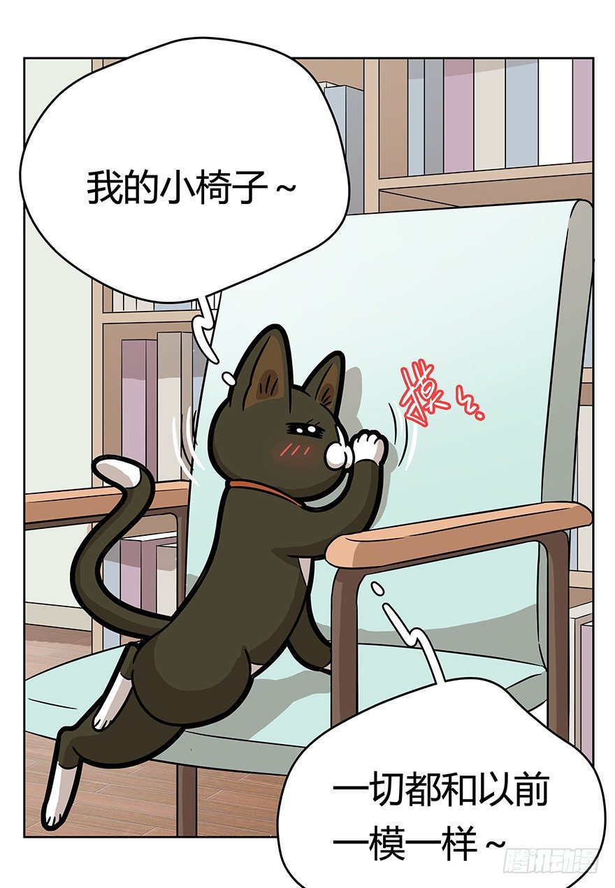 《回到过去变成猫外传》第61爪 “虐猫”照骗（上） 第27页