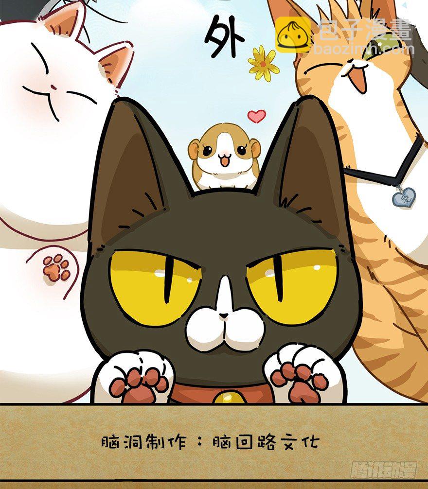 《回到过去变成猫外传》第61爪 “虐猫”照骗（上） 第2页