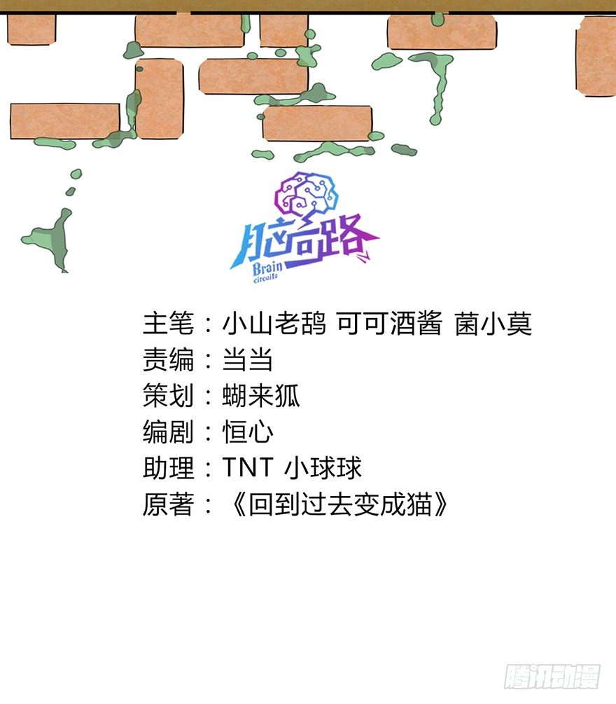 《回到过去变成猫外传》第61爪 “虐猫”照骗（上） 第3页