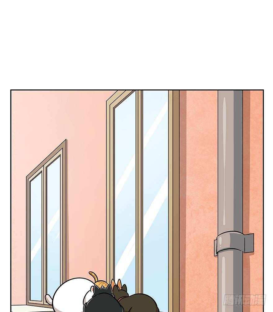 《回到过去变成猫外传》第61爪 “虐猫”照骗（上） 第4页