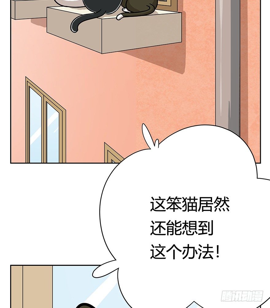 《回到过去变成猫外传》第61爪 “虐猫”照骗（上） 第5页