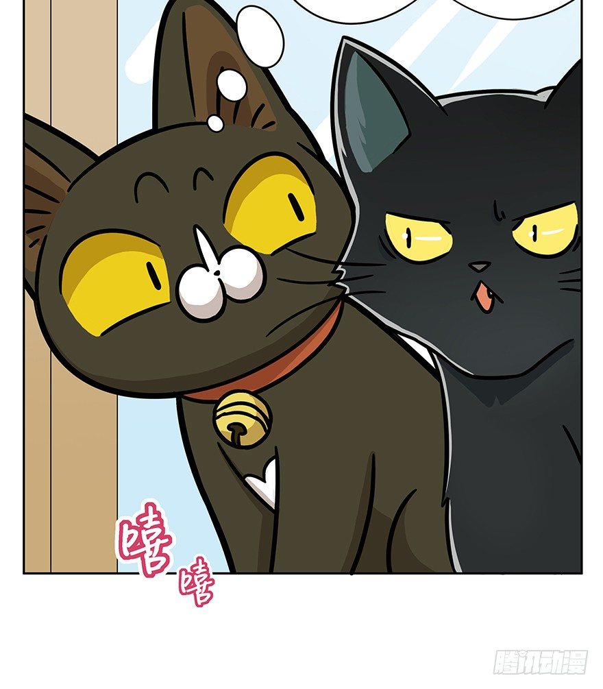 《回到过去变成猫外传》第61爪 “虐猫”照骗（上） 第6页