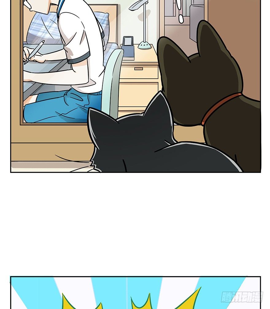 《回到过去变成猫外传》第61爪 “虐猫”照骗（上） 第8页