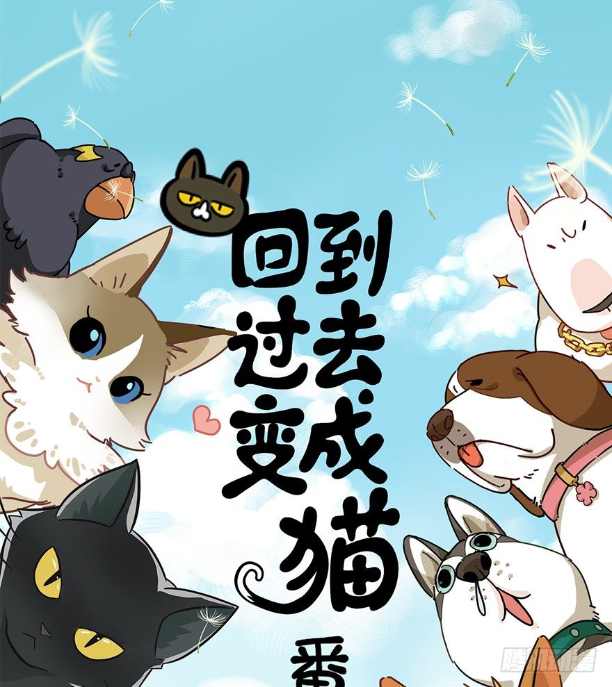 《回到过去变成猫外传》第66爪 我错了吗？ 第1页