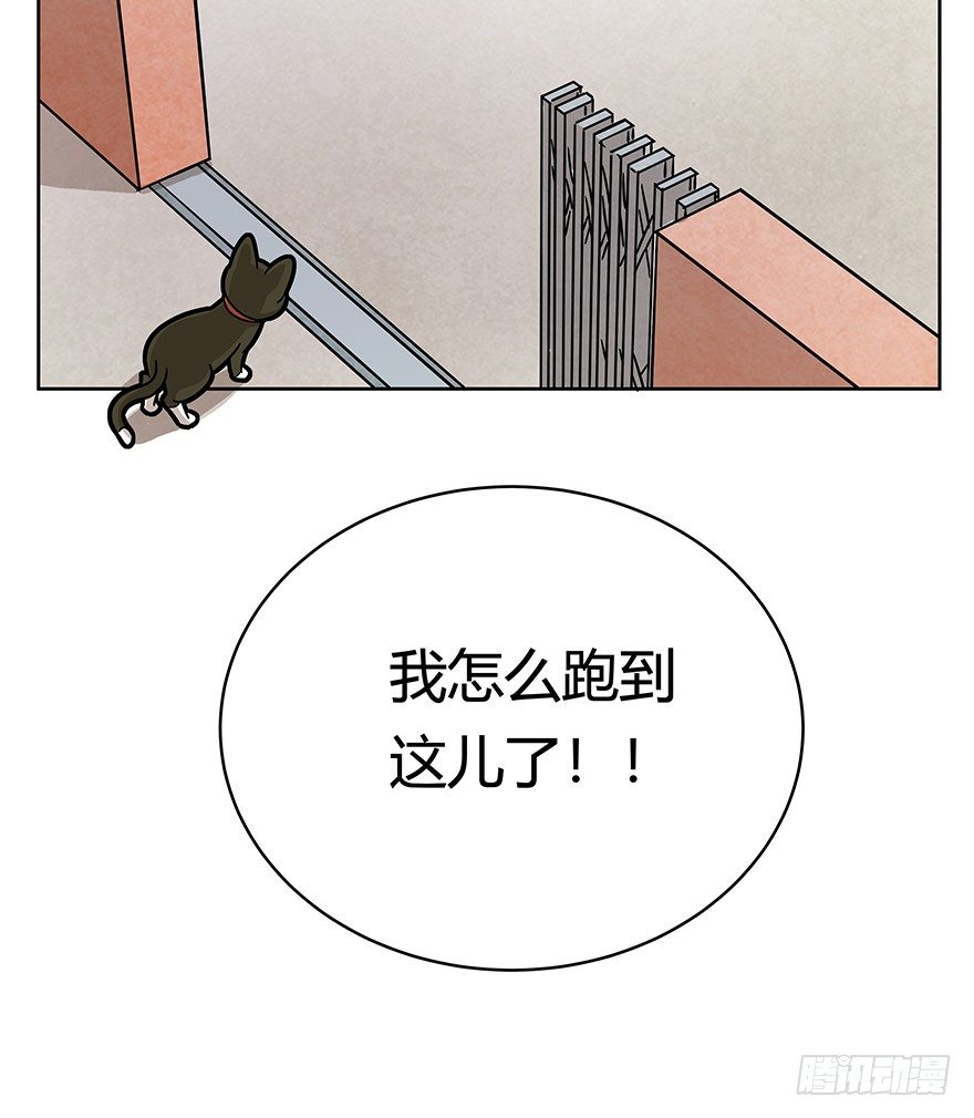 《回到过去变成猫外传》第66爪 我错了吗？ 第26页