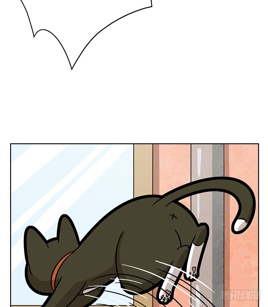 《回到过去变成猫外传》第66爪 我错了吗？ 第29页