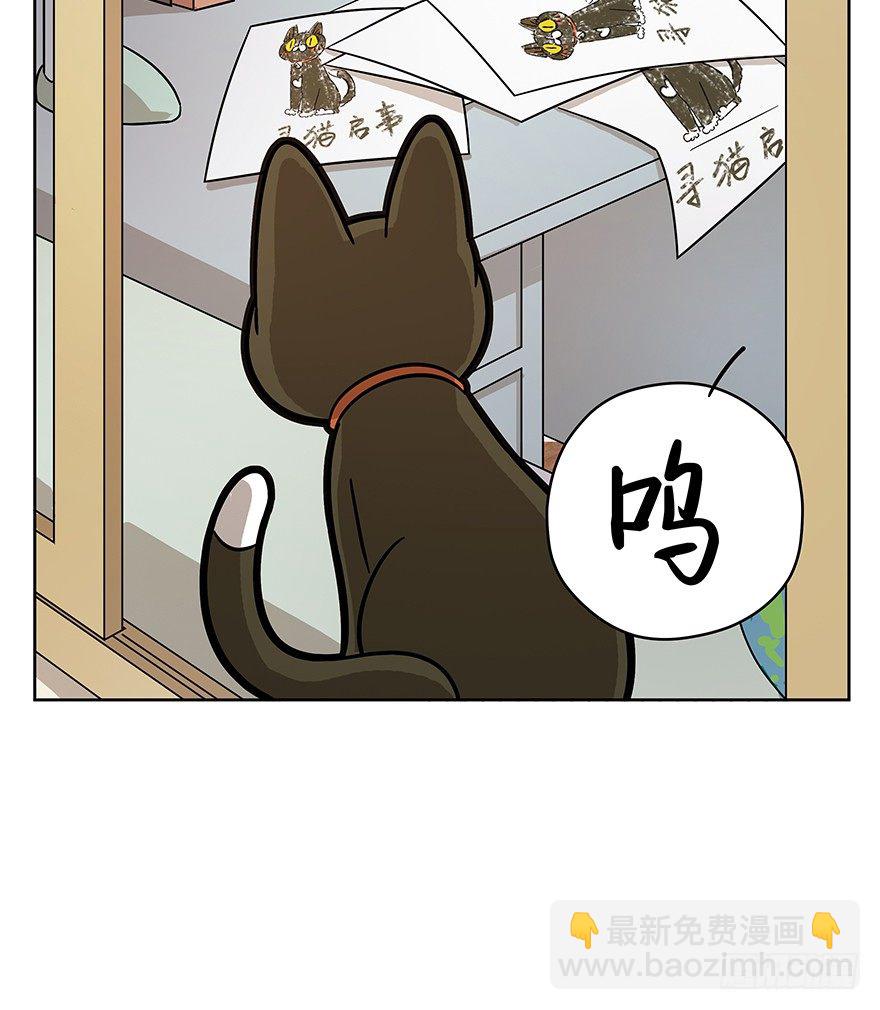 《回到过去变成猫外传》第66爪 我错了吗？ 第34页