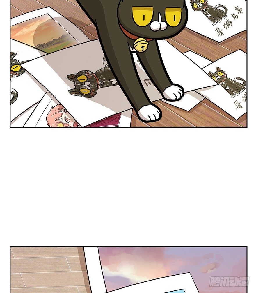 《回到过去变成猫外传》第66爪 我错了吗？ 第38页