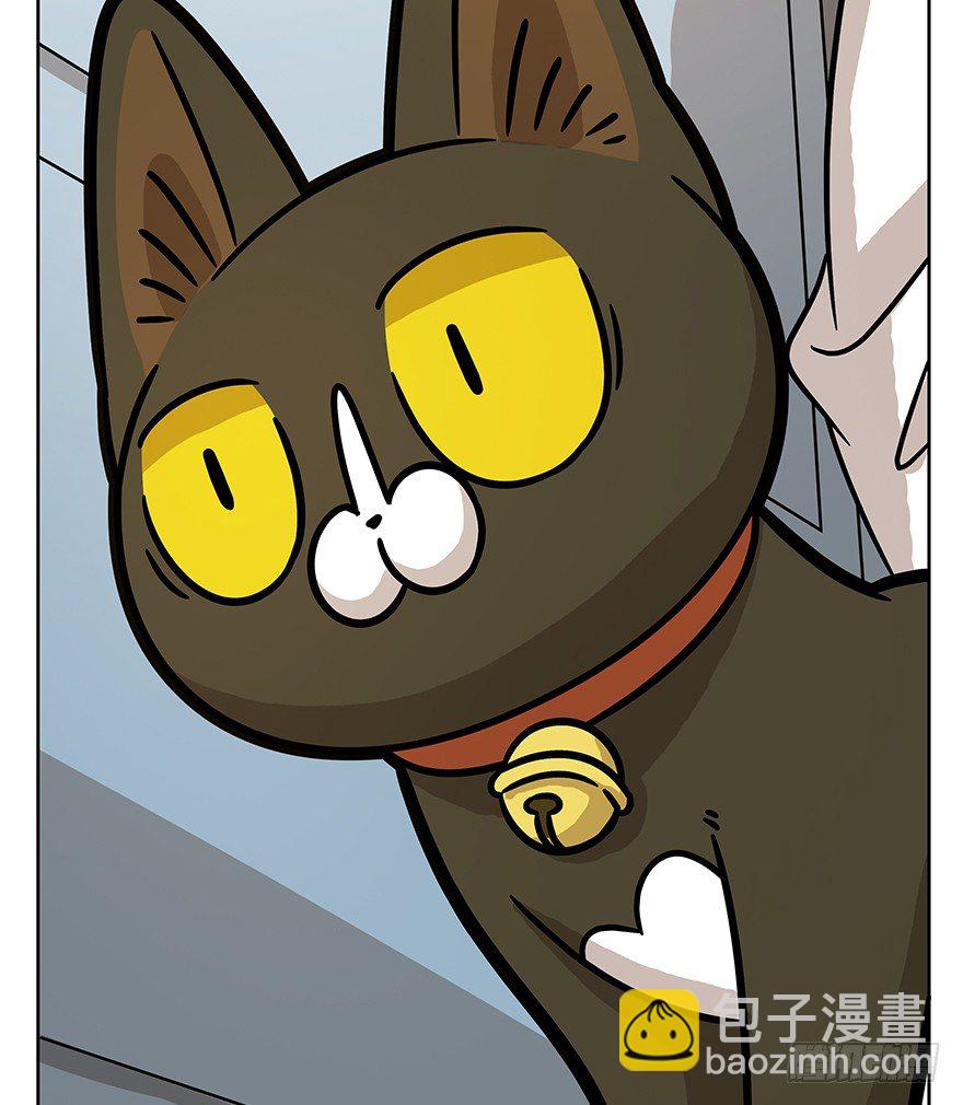 《回到过去变成猫外传》第66爪 我错了吗？ 第41页