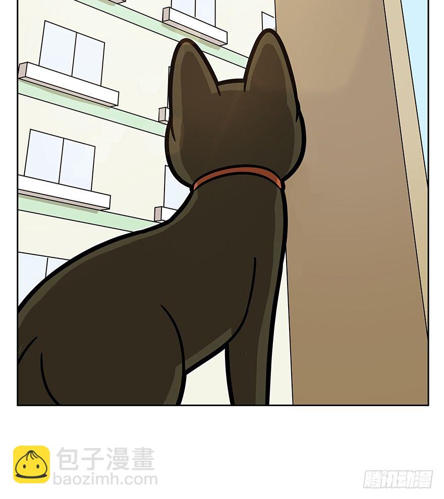 《回到过去变成猫外传》第66爪 我错了吗？ 第5页
