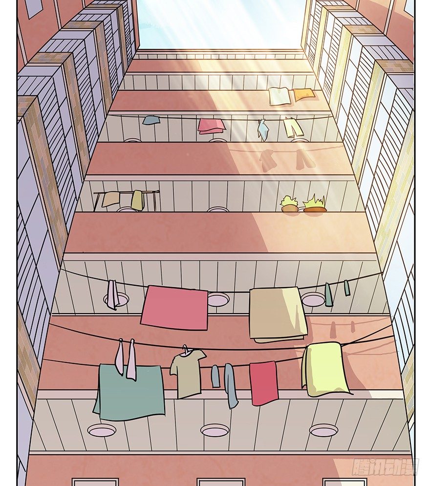 《回到过去变成猫外传》第63爪 众猫拾材火焰高 第11页