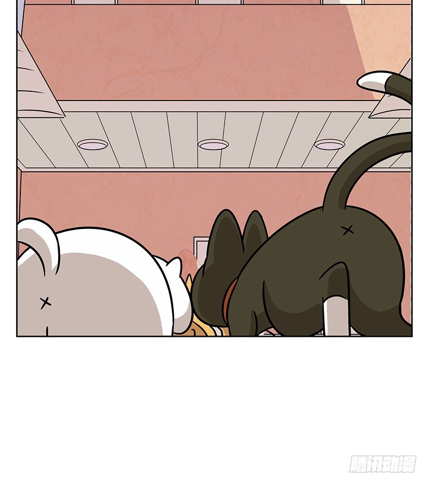 《回到过去变成猫外传》第63爪 众猫拾材火焰高 第12页