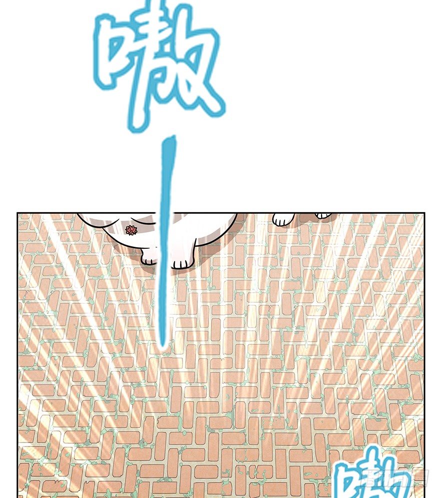 《回到过去变成猫外传》第63爪 众猫拾材火焰高 第15页