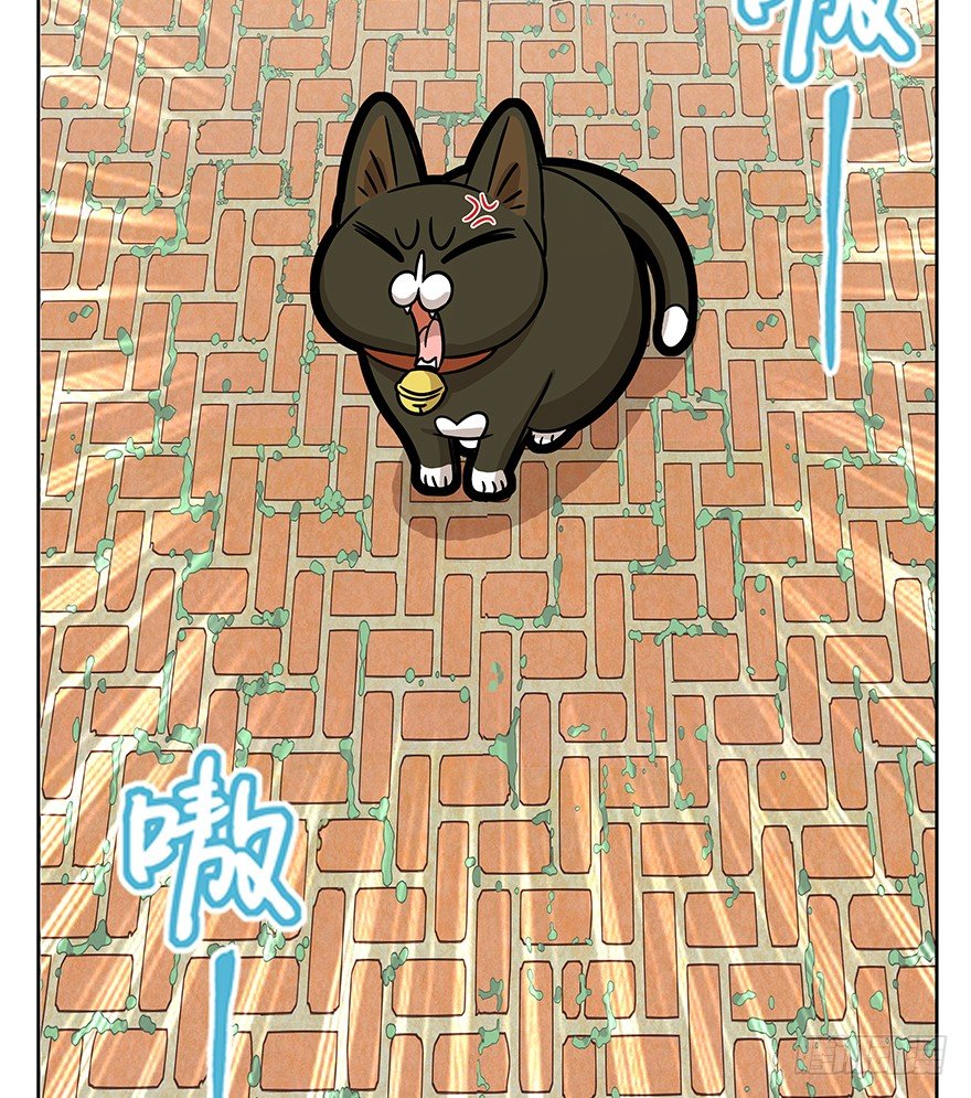 《回到过去变成猫外传》第63爪 众猫拾材火焰高 第16页