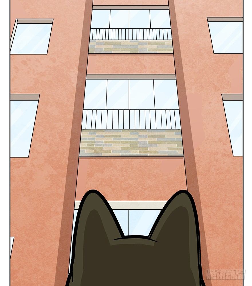 《回到过去变成猫外传》第63爪 众猫拾材火焰高 第18页