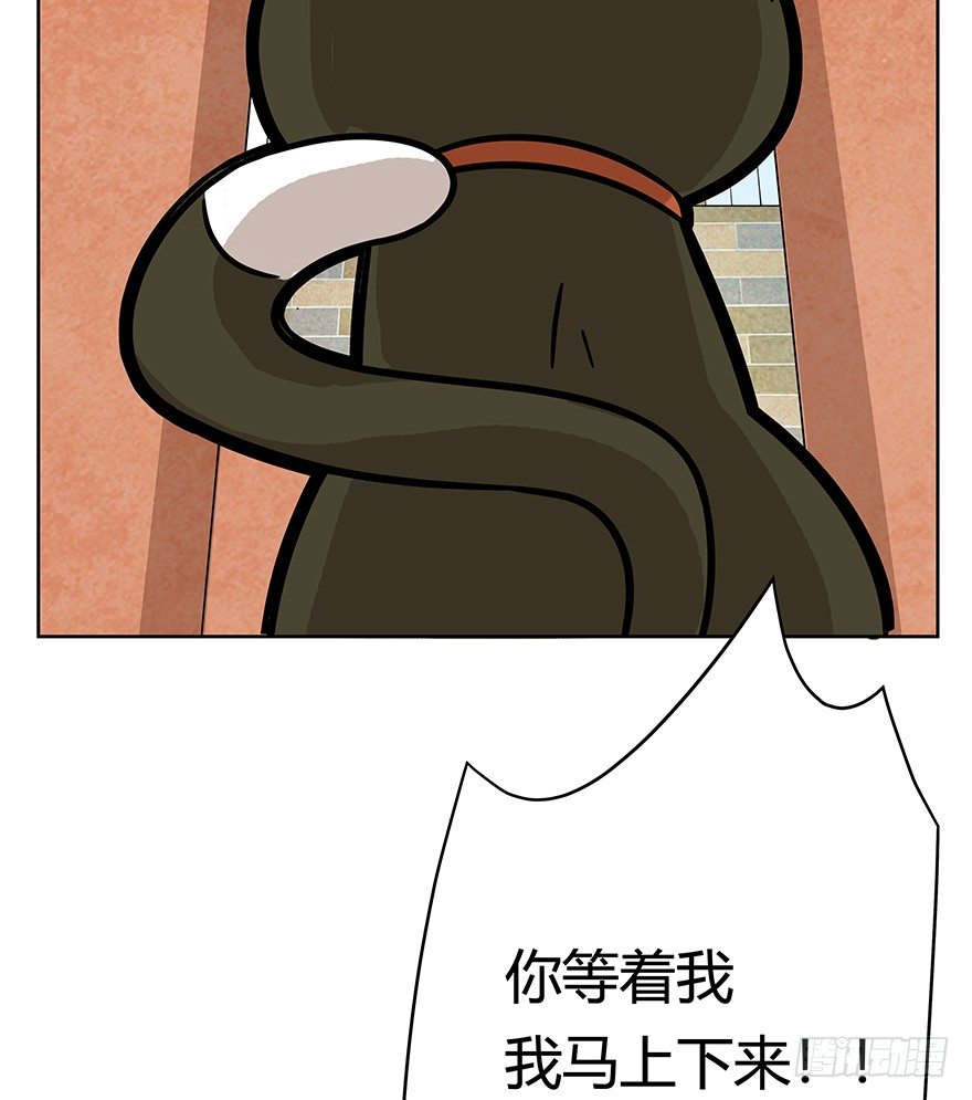 《回到过去变成猫外传》第63爪 众猫拾材火焰高 第19页