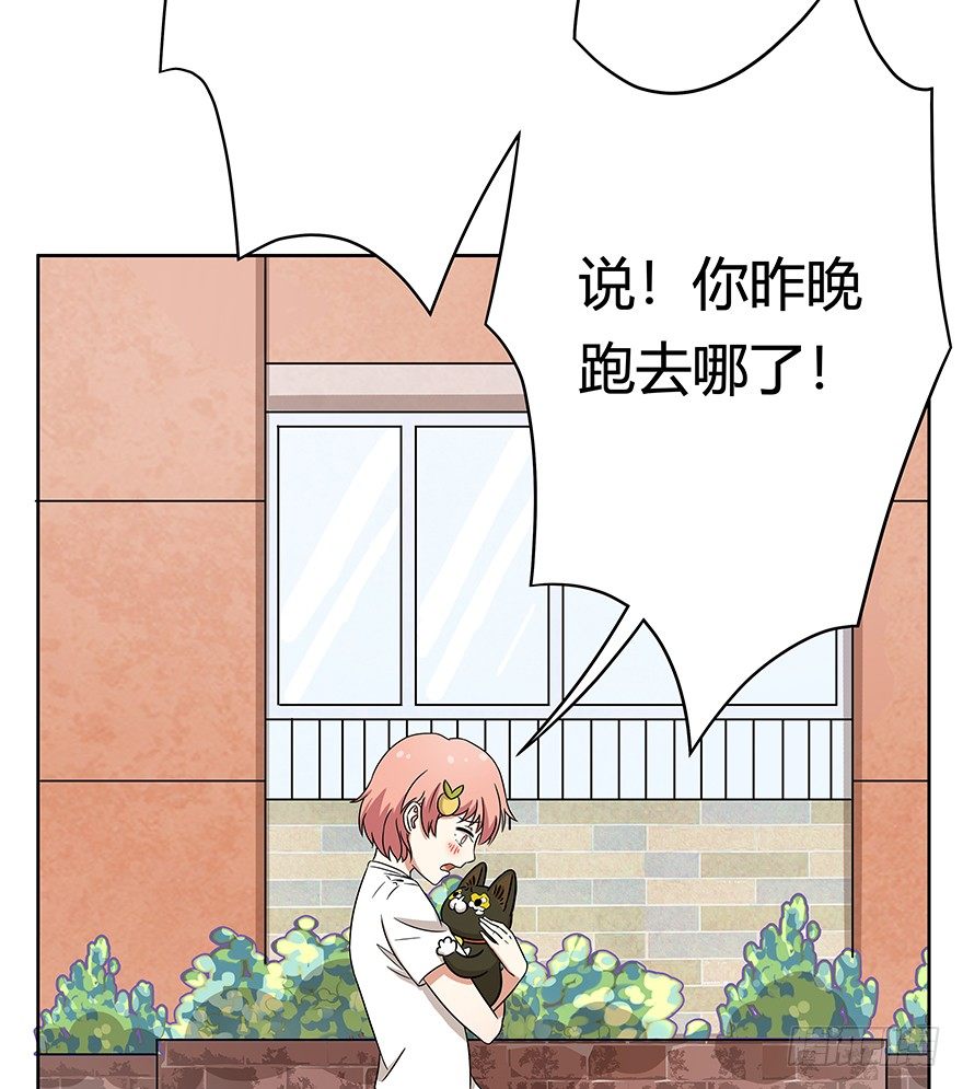 《回到过去变成猫外传》第63爪 众猫拾材火焰高 第22页