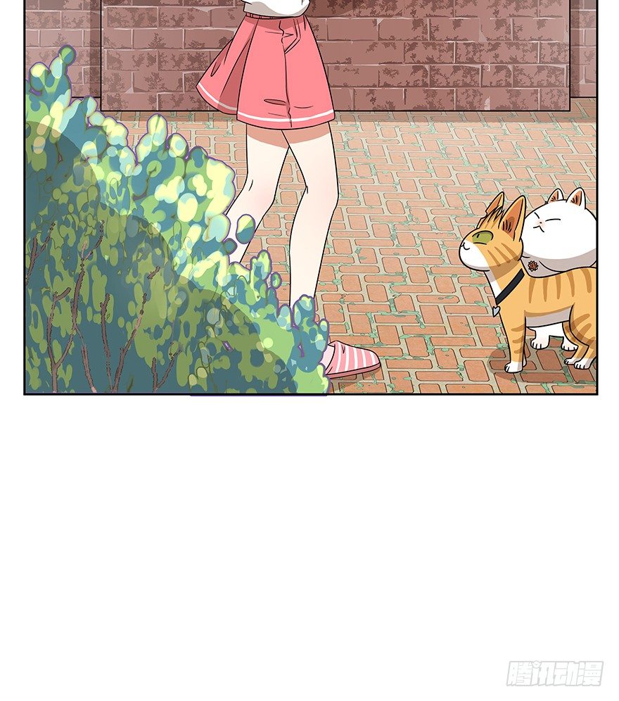 《回到过去变成猫外传》第63爪 众猫拾材火焰高 第23页