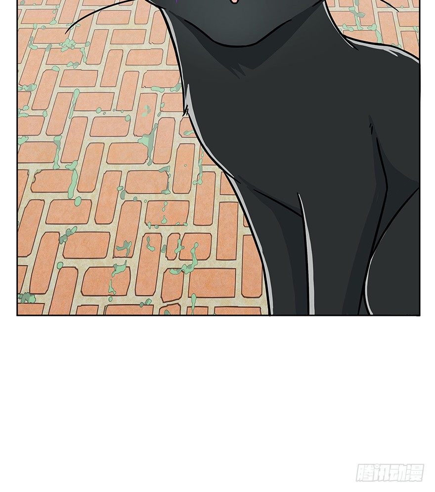 《回到过去变成猫外传》第63爪 众猫拾材火焰高 第25页