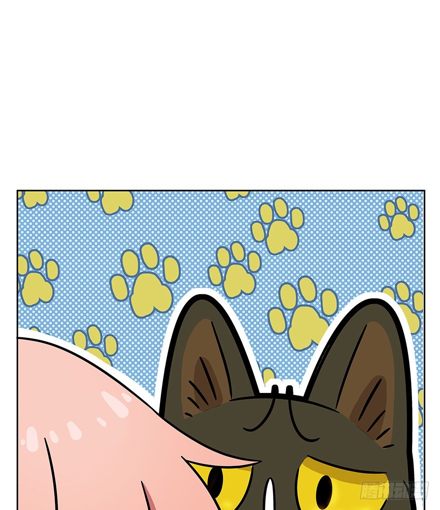 《回到过去变成猫外传》第63爪 众猫拾材火焰高 第26页