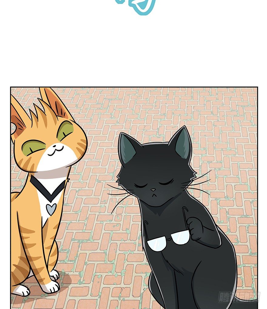 《回到过去变成猫外传》第63爪 众猫拾材火焰高 第30页