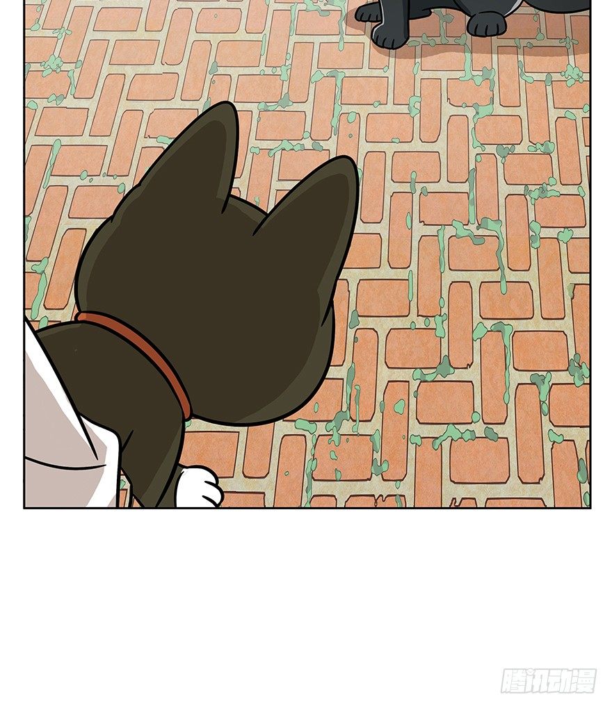 《回到过去变成猫外传》第63爪 众猫拾材火焰高 第31页