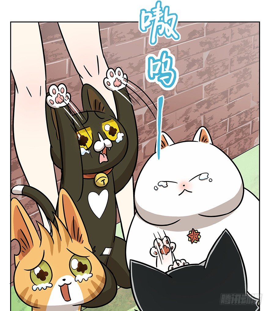 《回到过去变成猫外传》第63爪 众猫拾材火焰高 第34页
