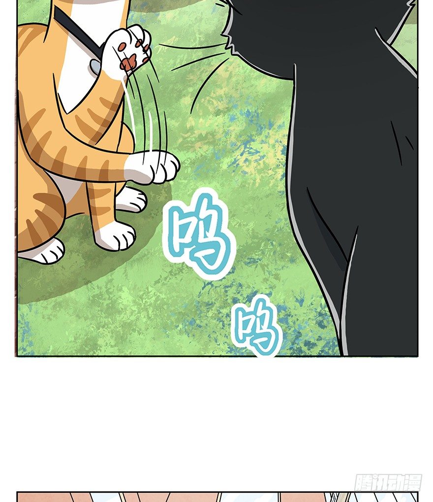《回到过去变成猫外传》第63爪 众猫拾材火焰高 第35页