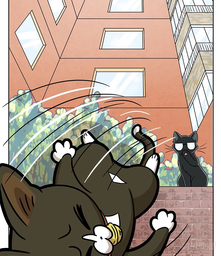 《回到过去变成猫外传》第63爪 众猫拾材火焰高 第36页
