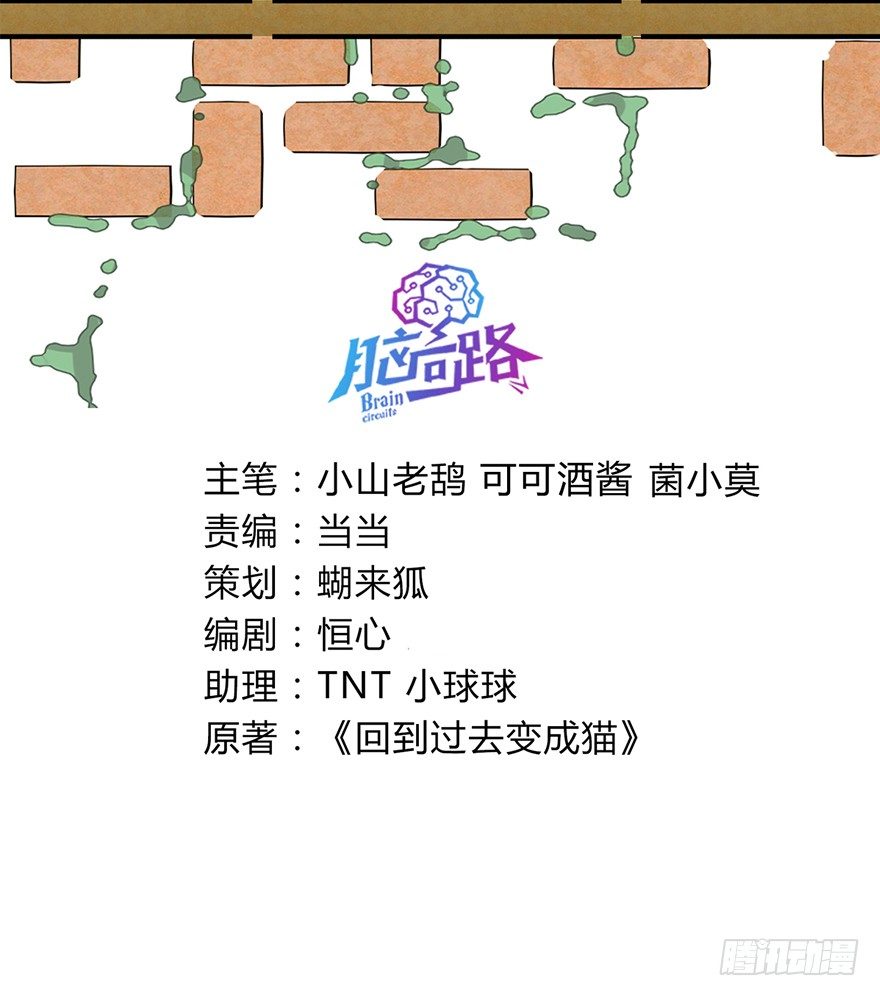 《回到过去变成猫外传》第63爪 众猫拾材火焰高 第3页