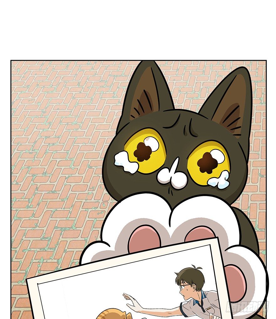 《回到过去变成猫外传》第63爪 众猫拾材火焰高 第42页