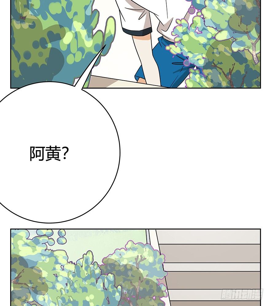 《回到过去变成猫外传》第63爪 众猫拾材火焰高 第5页