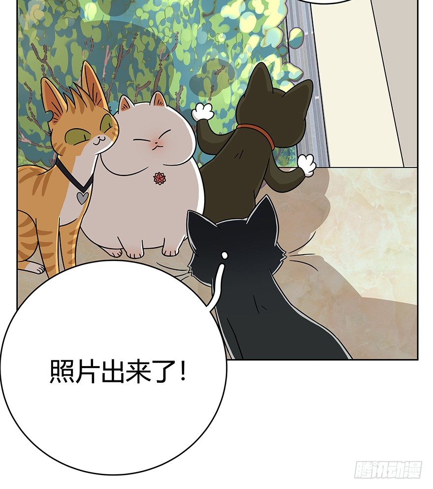 《回到过去变成猫外传》第63爪 众猫拾材火焰高 第7页