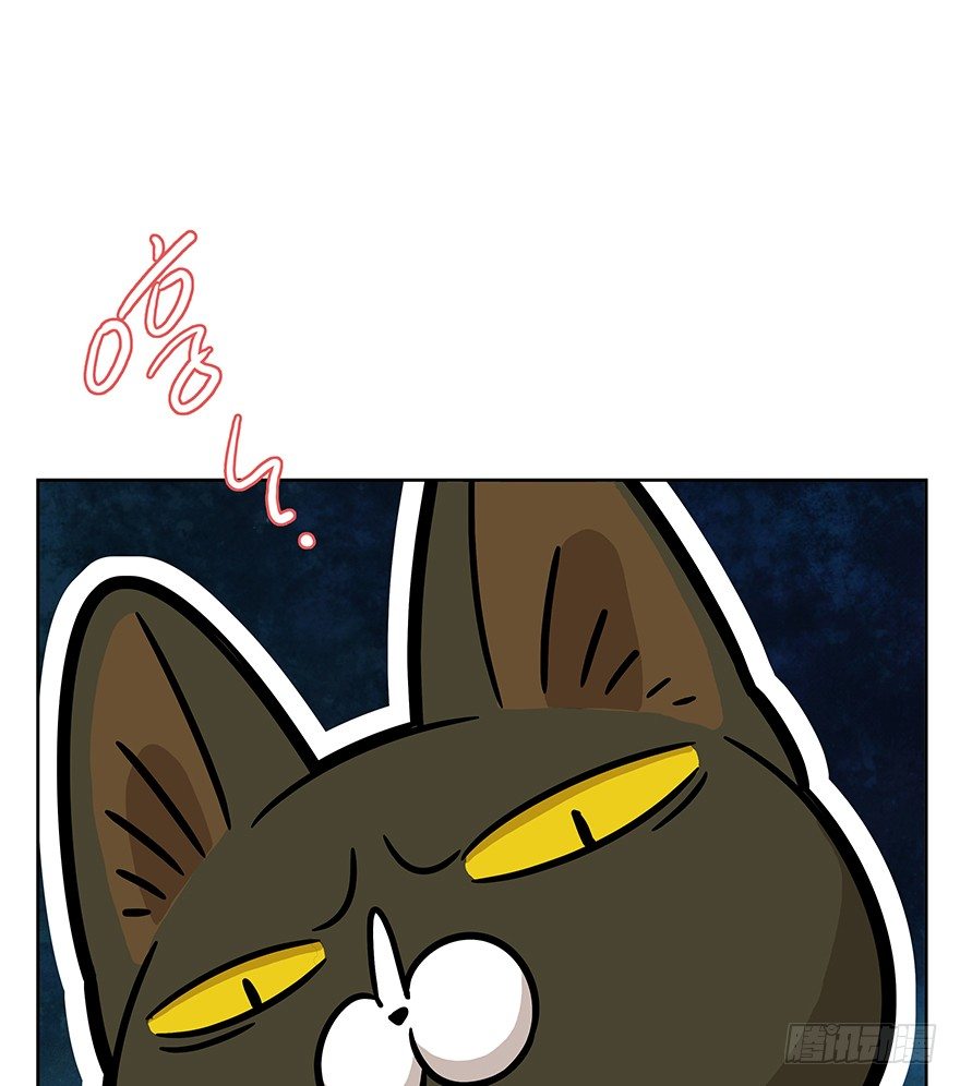 《回到过去变成猫外传》第63爪 众猫拾材火焰高 第8页