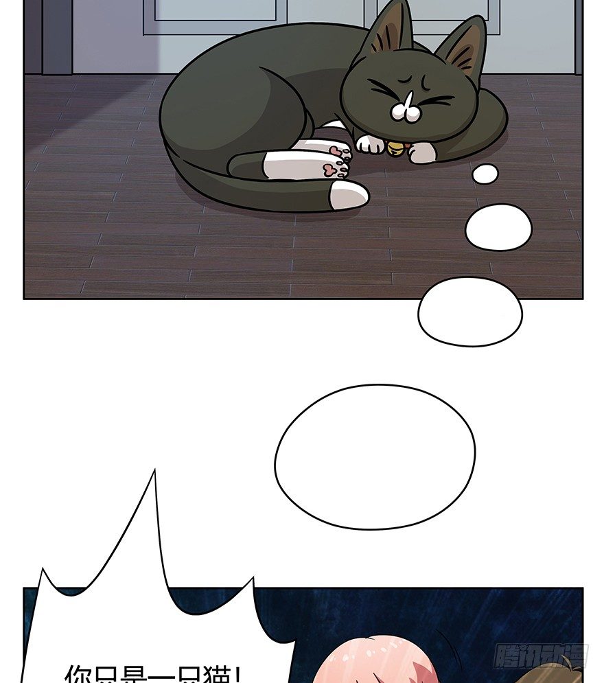 《回到过去变成猫外传》第65爪 真的胜利了吗？（下） 第13页