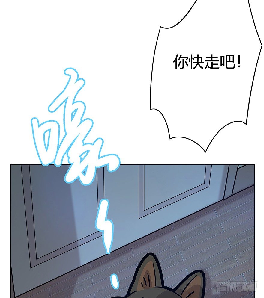《回到过去变成猫外传》第65爪 真的胜利了吗？（下） 第15页