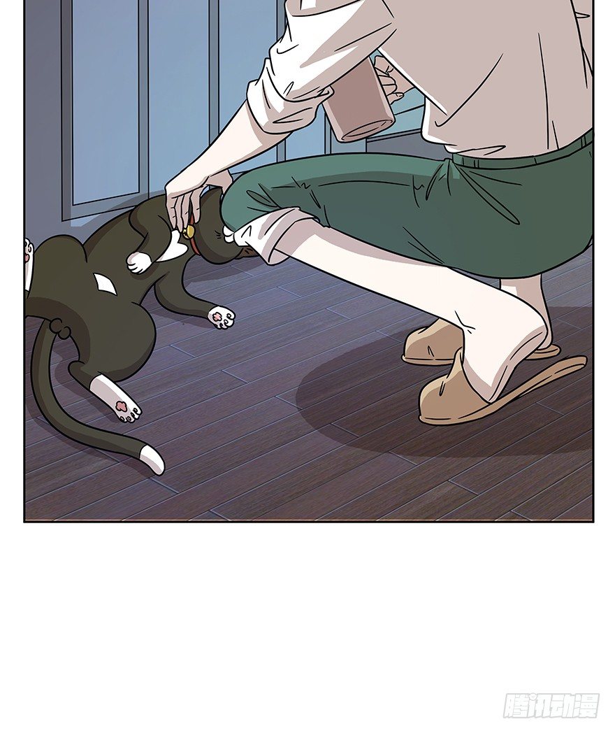《回到过去变成猫外传》第65爪 真的胜利了吗？（下） 第18页