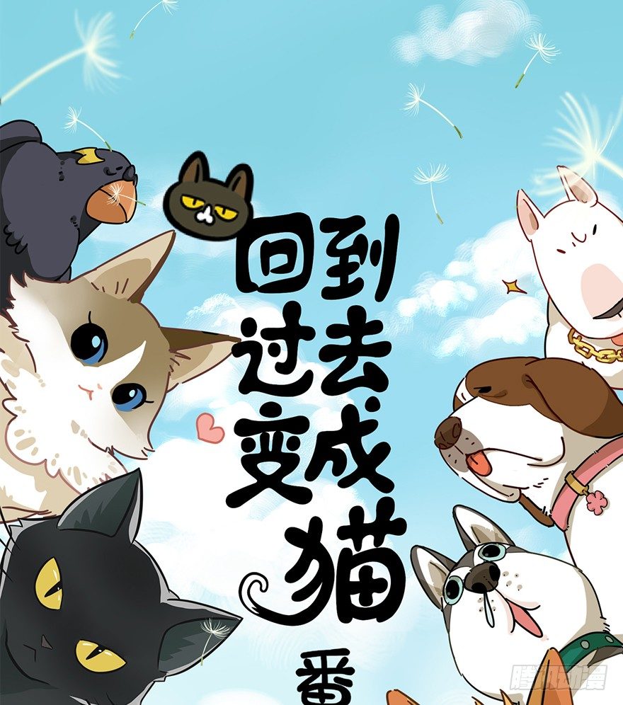《回到过去变成猫外传》第65爪 真的胜利了吗？（下） 第1页