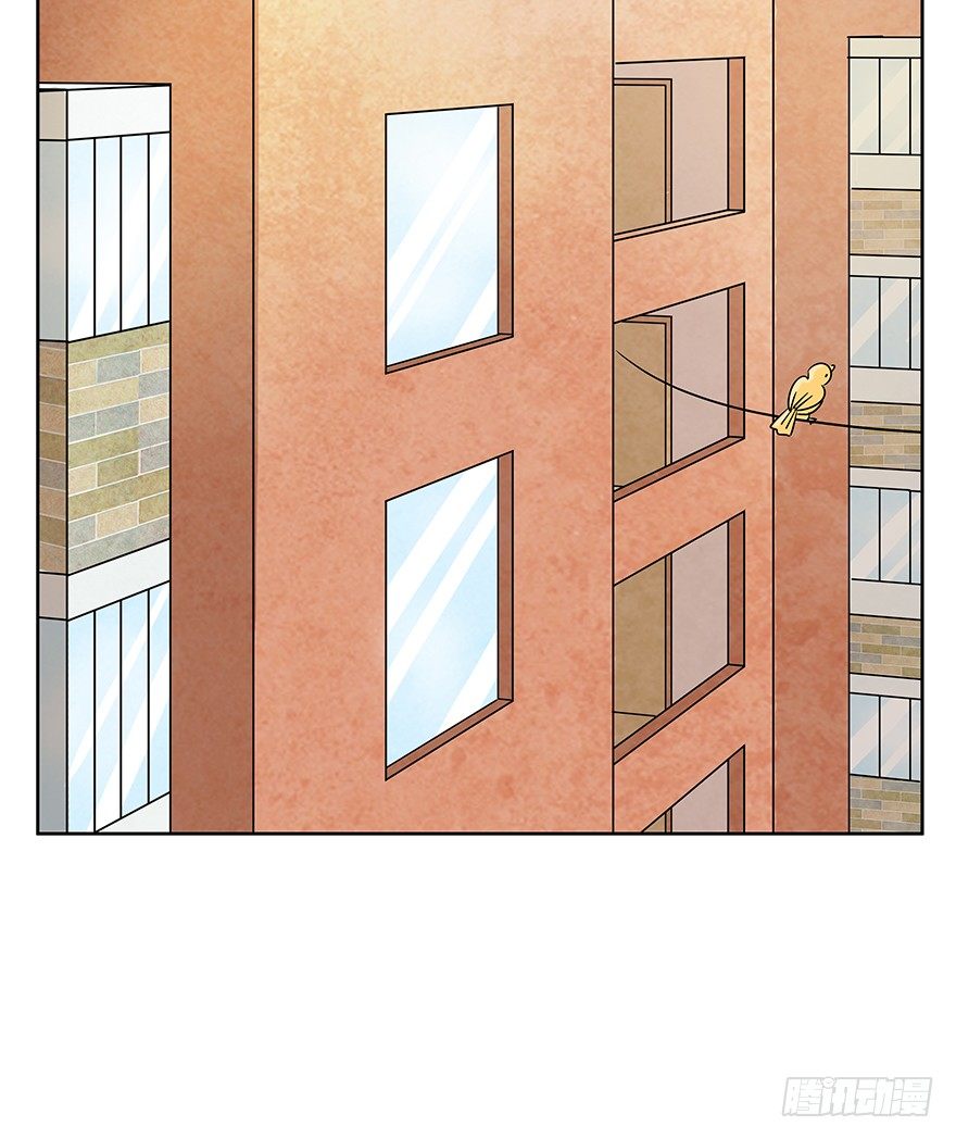 《回到过去变成猫外传》第65爪 真的胜利了吗？（下） 第20页