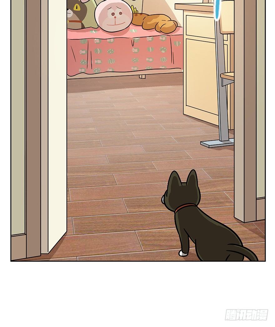 《回到过去变成猫外传》第65爪 真的胜利了吗？（下） 第24页