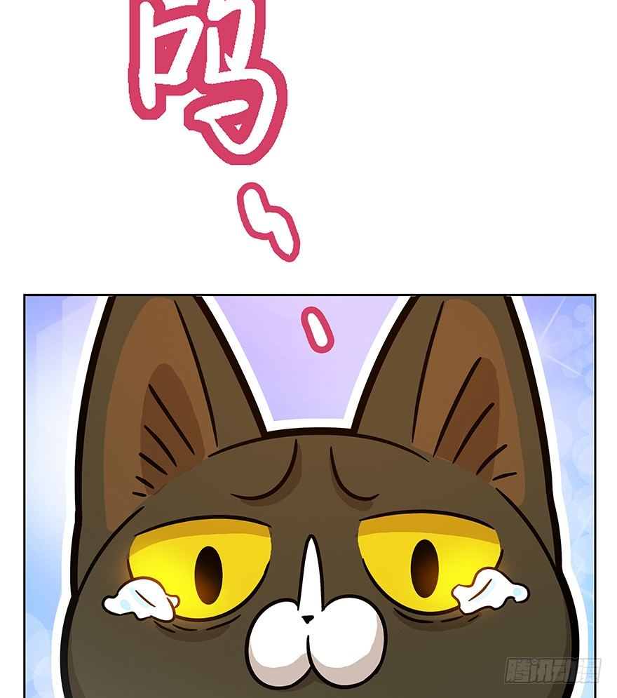 《回到过去变成猫外传》第65爪 真的胜利了吗？（下） 第6页