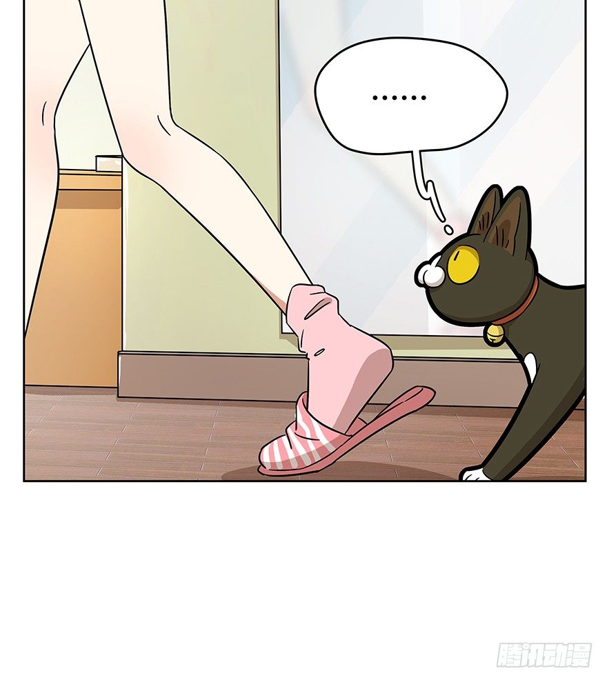 《回到过去变成猫外传》第64爪 真的胜利了吗？（上） 第13页
