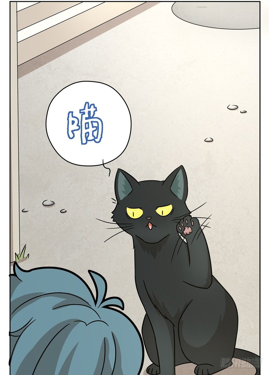 《回到过去变成猫外传》第70爪 “小天使”焦爸（上） 第28页