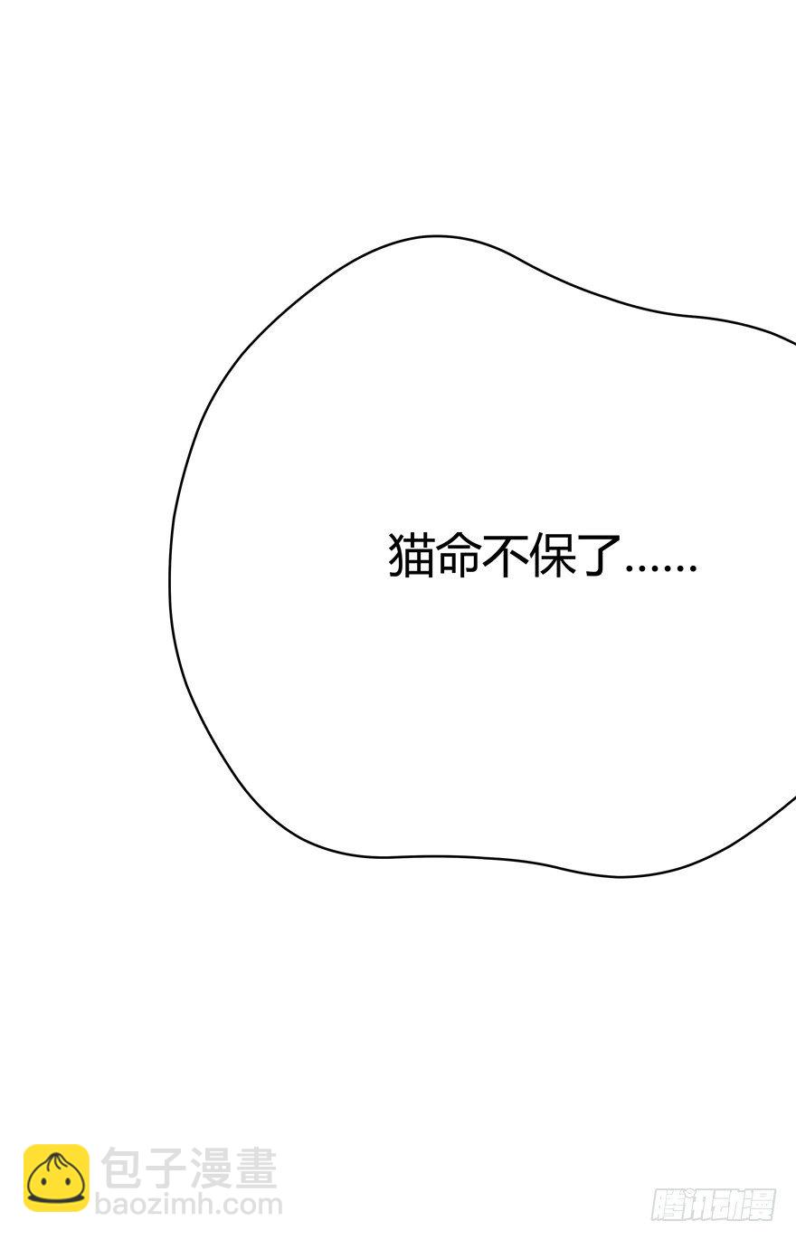 《回到过去变成猫外传》第70爪 “小天使”焦爸（上） 第6页